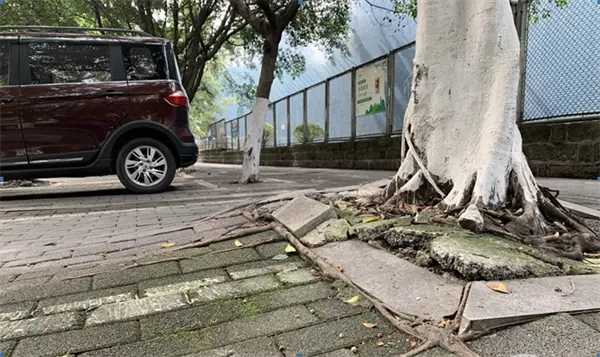 微信图片_20230302142730.png